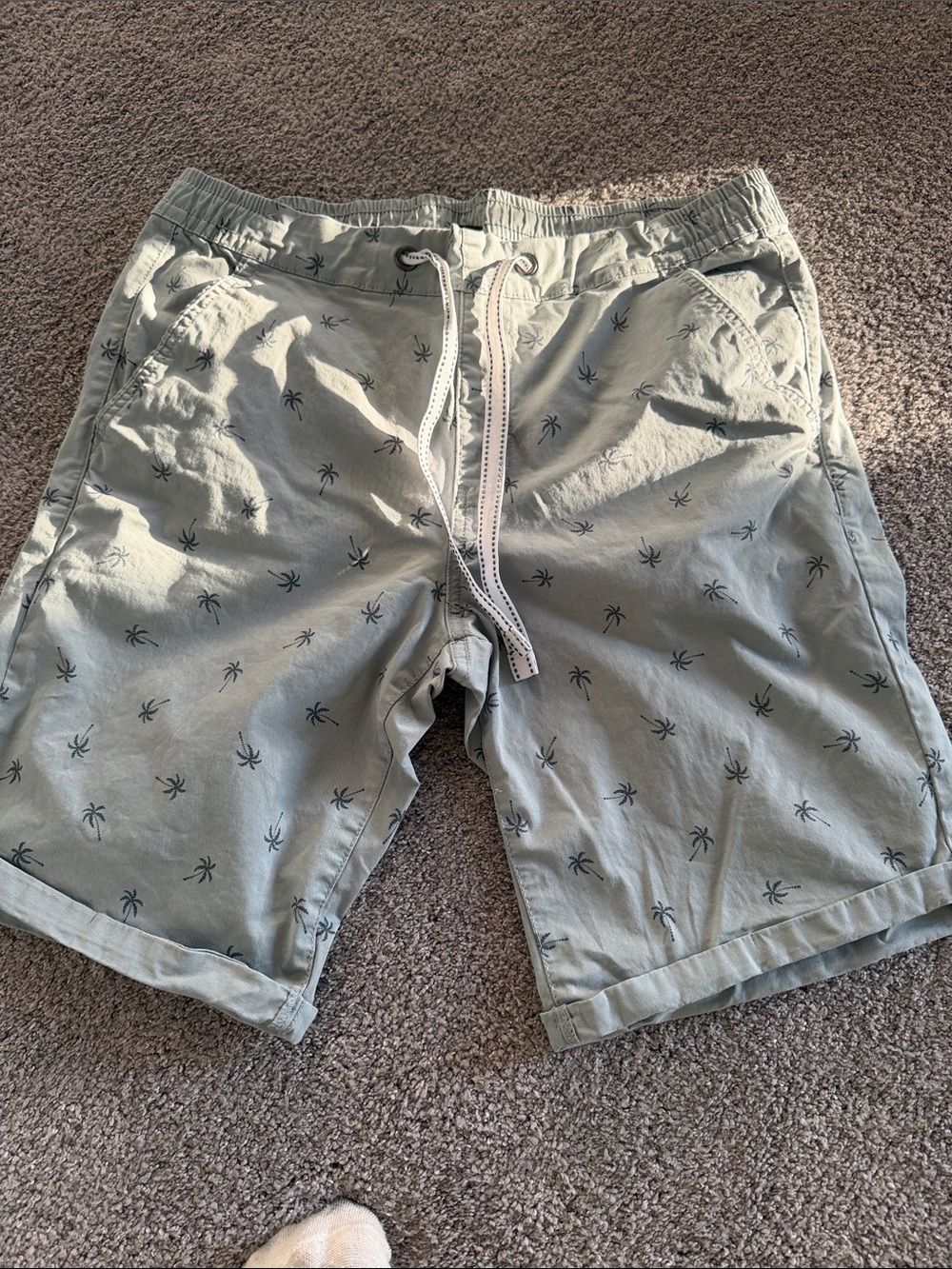 Men's Light Sage Palm-Print Casual Drawstring Shorts
